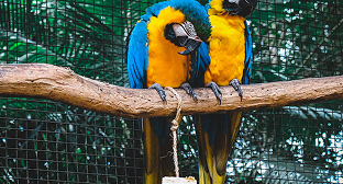 গল্প বলার মাধ্যমে সৃজনশীলতার উন্মোচন